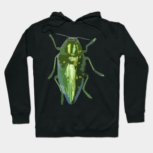 Jewel Beetle Digital Painting Hoodie
